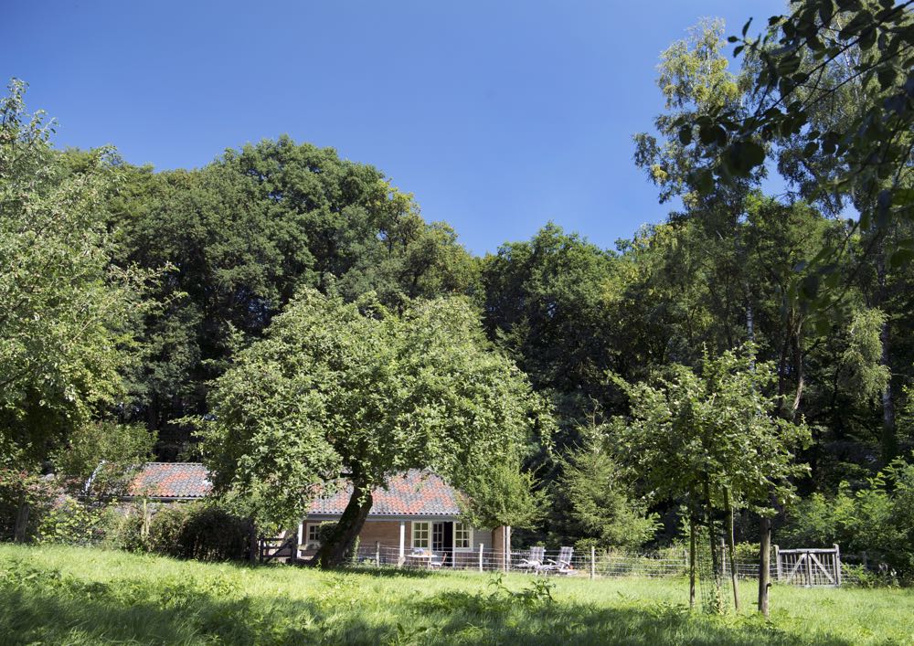 Een huisje in het bos, met ligstoelen in het gras voor de openslaande deuren.