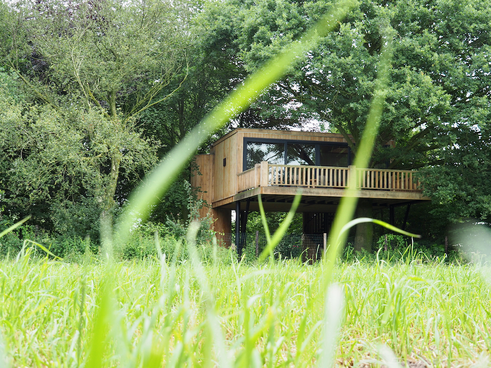 Grassprieten met tussendoor zicht op een boomhut