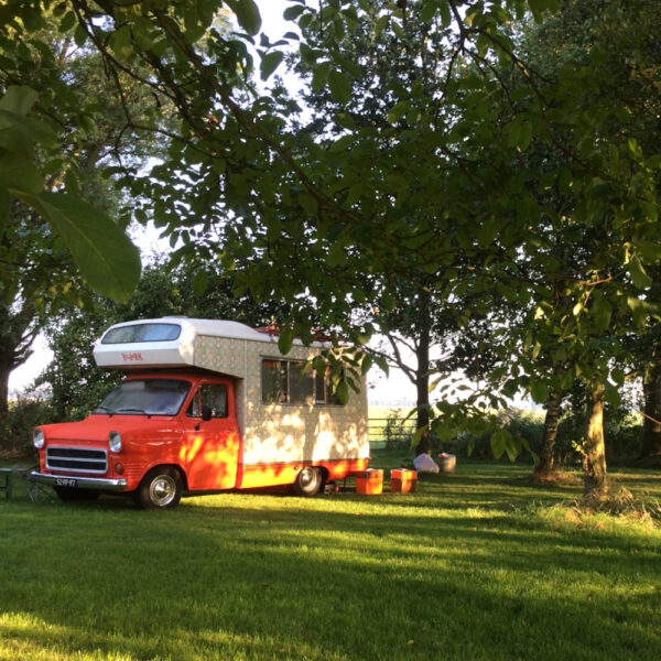 Vintage camperbus op de camping in Drenthe