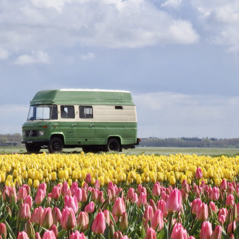 Mercedes camperbus in een bollenveld