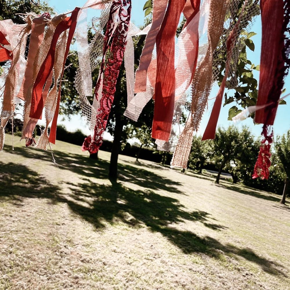 Bij mooi weer genieten in de boomgaard.