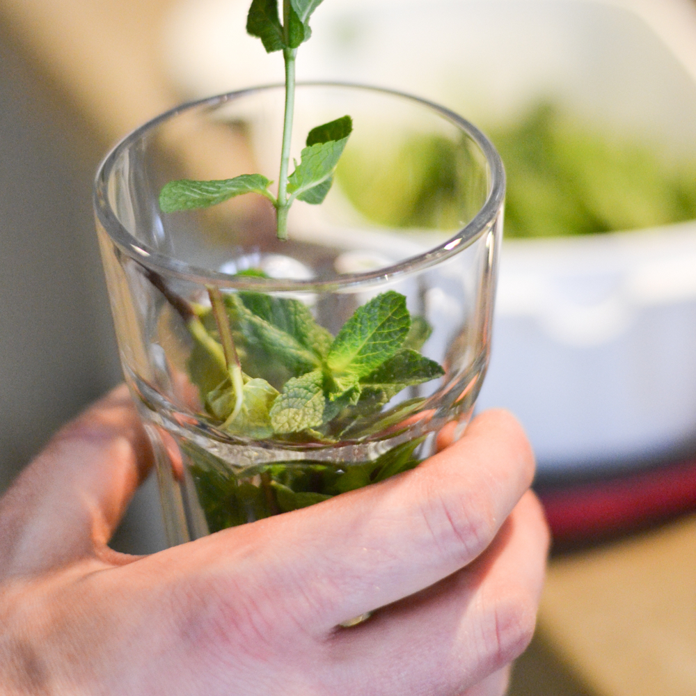 Muntthee bij de B&B in Utrecht