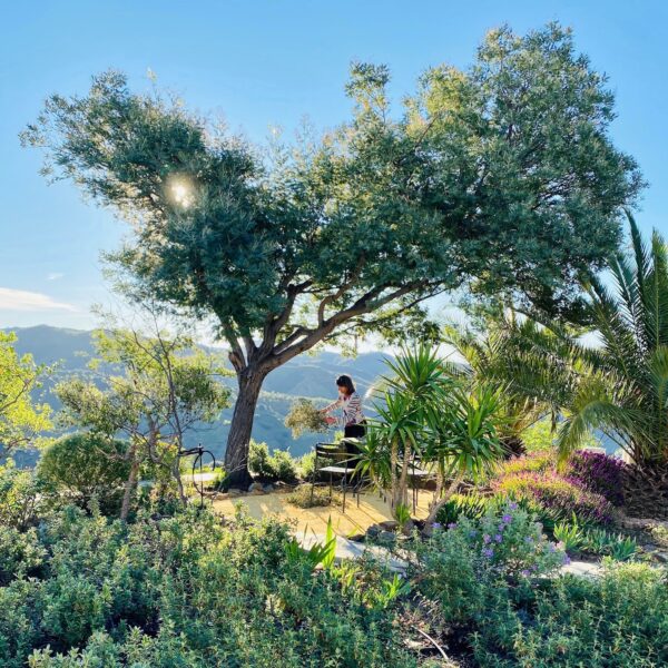 Tuin bij het vakantiehuis in Andalusië