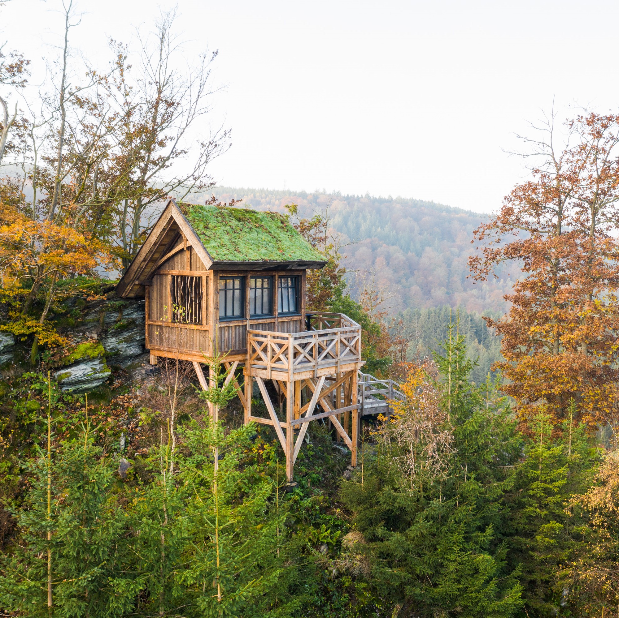 Slapen in een boomhut met uitzicht over de bossen van de Ardennen