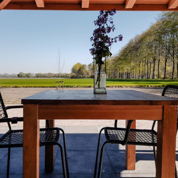 s Avonds (of overdag) onder de overkapping in de tuin.