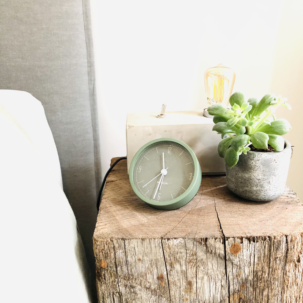 Overnachten in een sfeervolle b&b in Noord-Holland