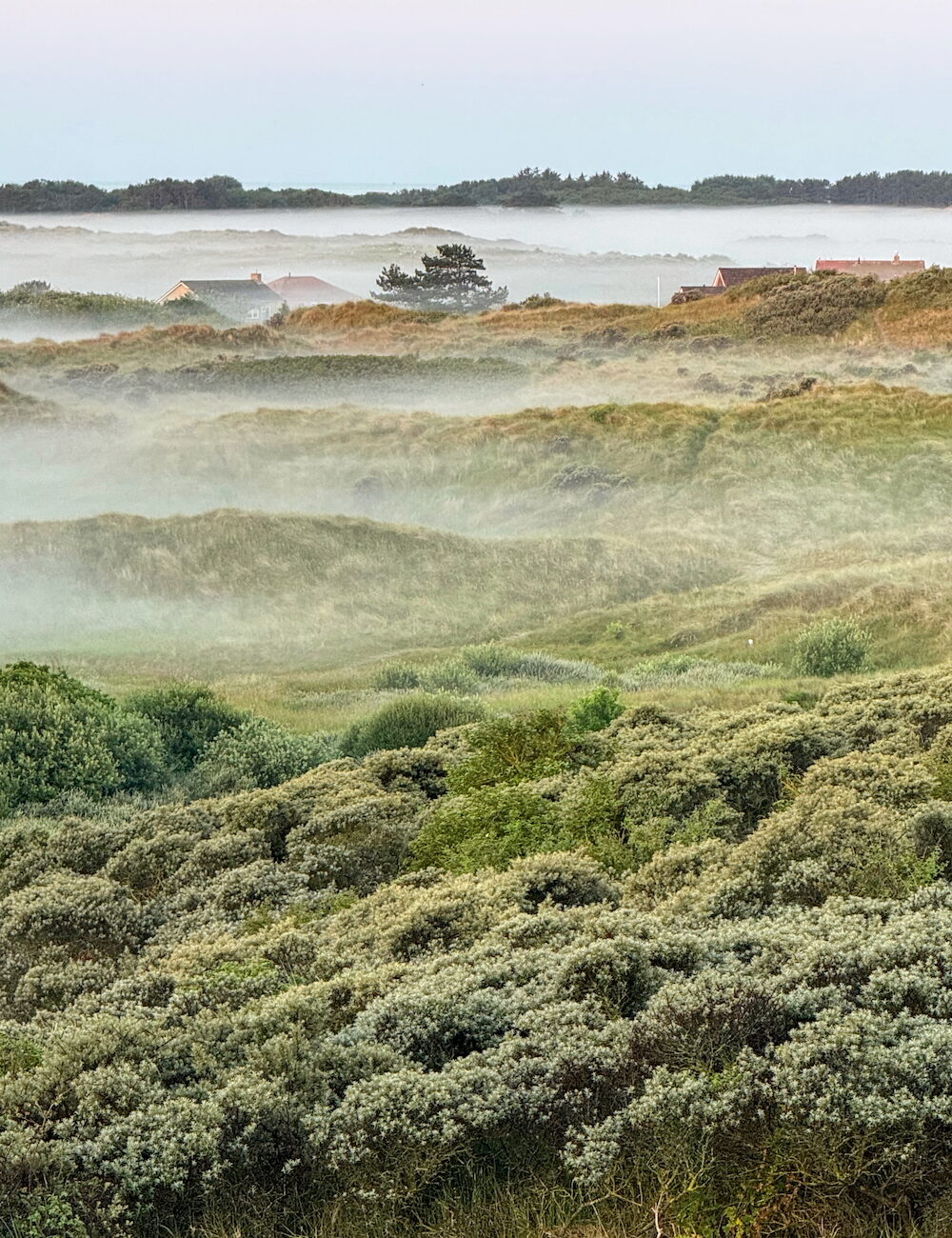 Duinen met ochtend dauw op terschelling