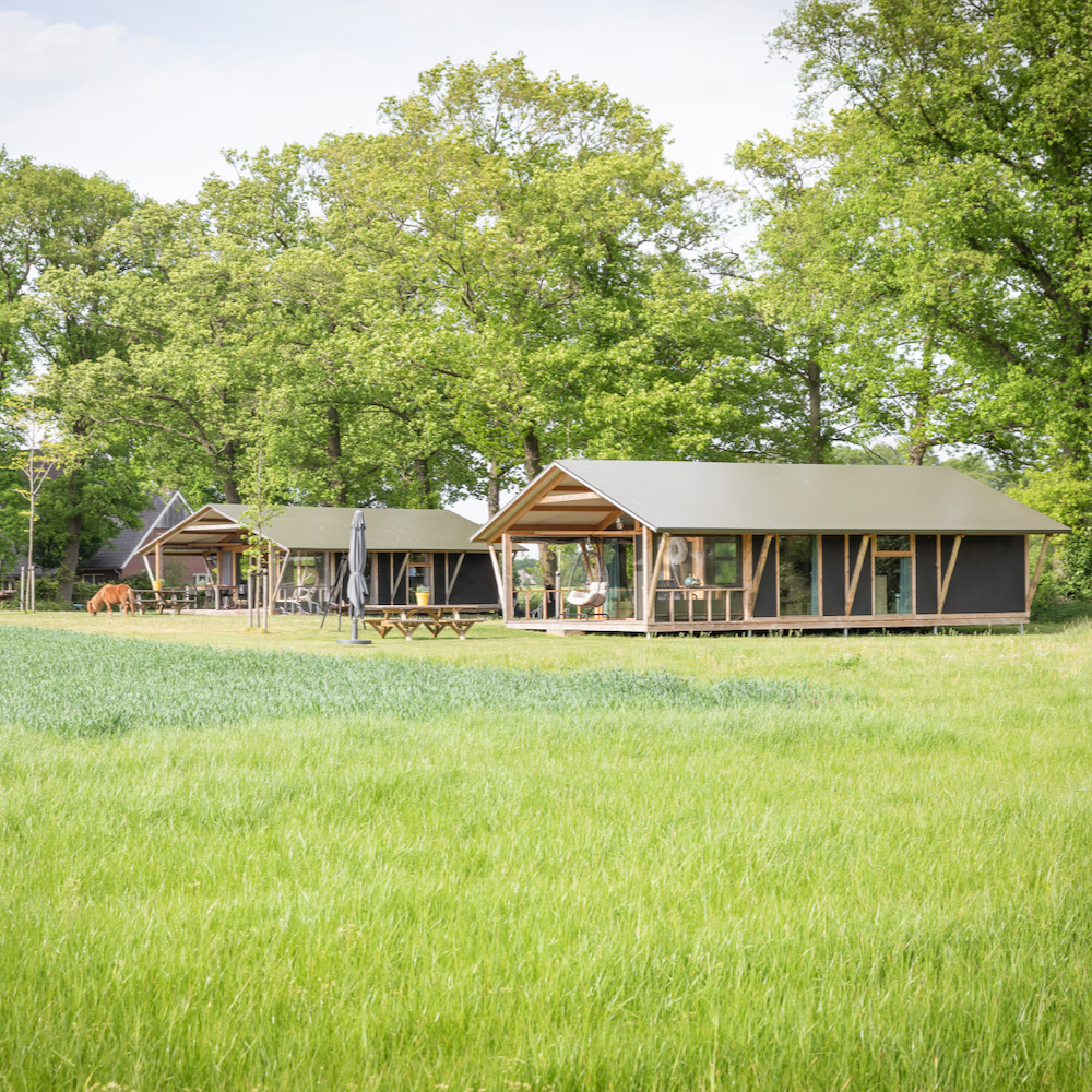 Lodgetent aan de rand van het weiland