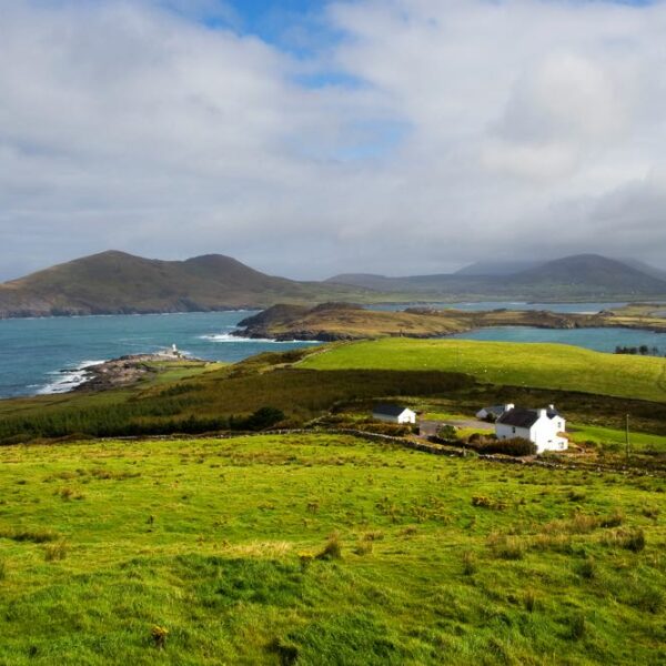 Groene glooiende heuvels langs de kust in Ierland
