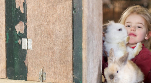 Een meisje op de boerderij, in een rode overal met een konijn in haar armen.