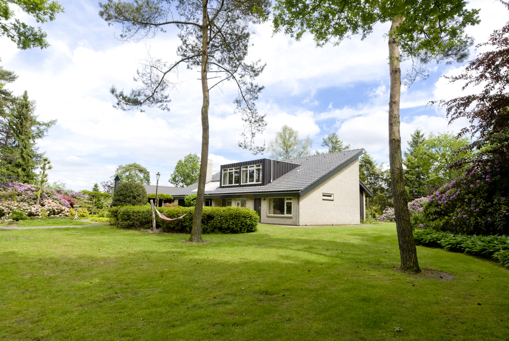 Grasveld met huis met 2 bomen en blauwe lucht met wolken