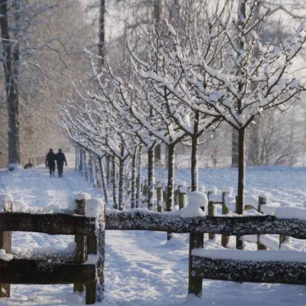 Wandelen in de sneeuw