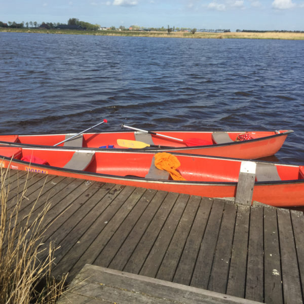 Kano's aan een steiger tijdens wetlandsafari
