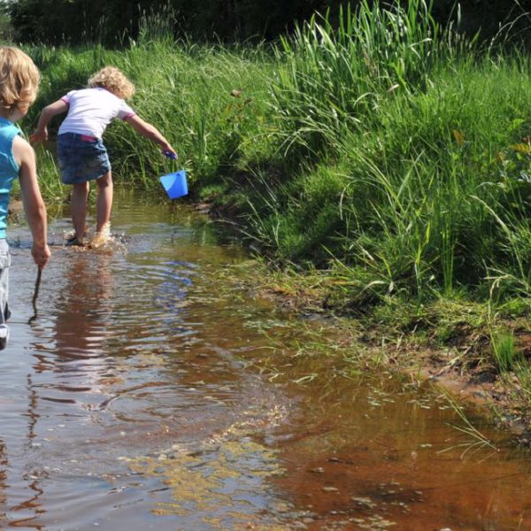 5 leuke blotevoetenpaden in Nederland