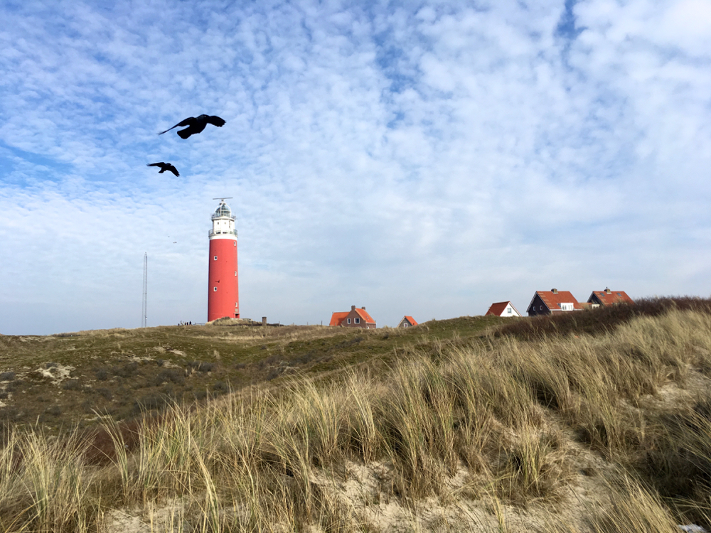 Een must see vanuit je vakantiehuisje op Texel: de rode vuurtoren in de duinen.