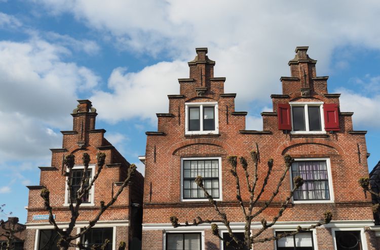 VHJhcGdldmVsdGplcyBFZGFt