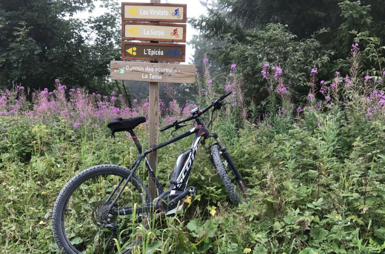 RSBiaWtlbiBjb3VyY2hldmVsIDc=