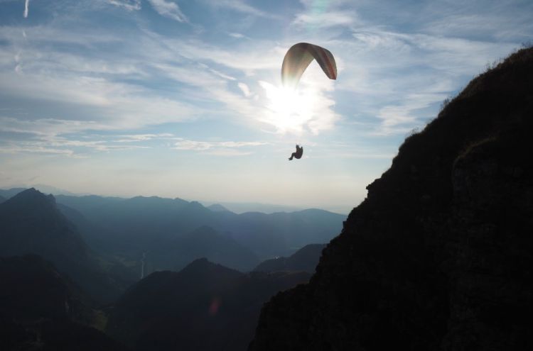 Wm9uc29uZGVyZ2FuZyBEaWVkYW1za29wZg==