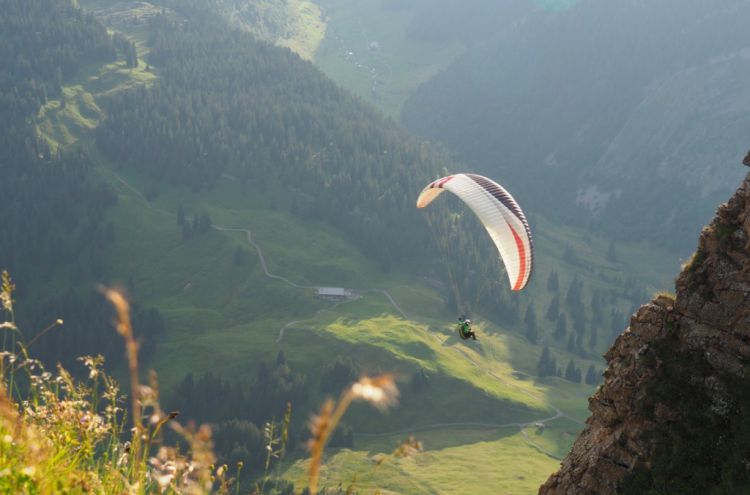 Wm9uc29uZGVyZ2FuZyBEaWVkYW1za29wZg==