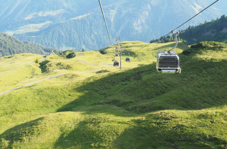 Wm9uc29uZGVyZ2FuZyBEaWVkYW1za29wZg==