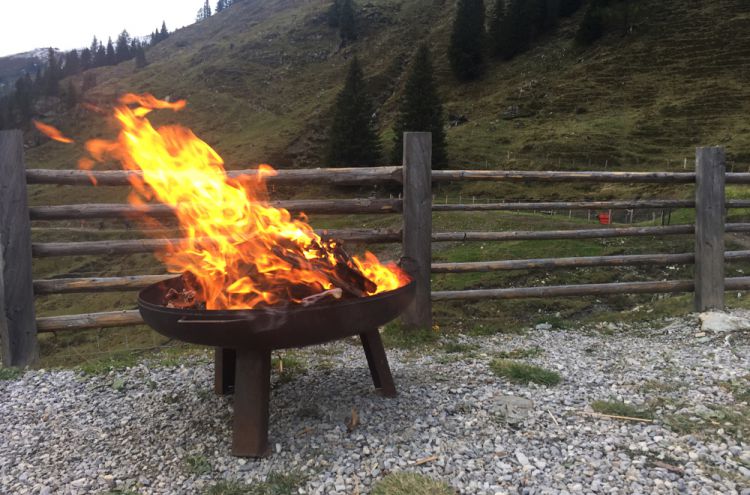 SGlrZSBBbG1lbndlZzE1