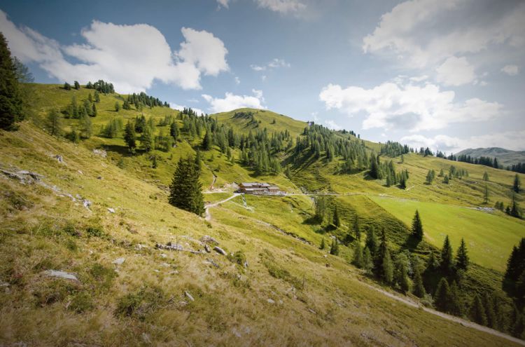 SGlrZSBBbG1lbndlZzEy