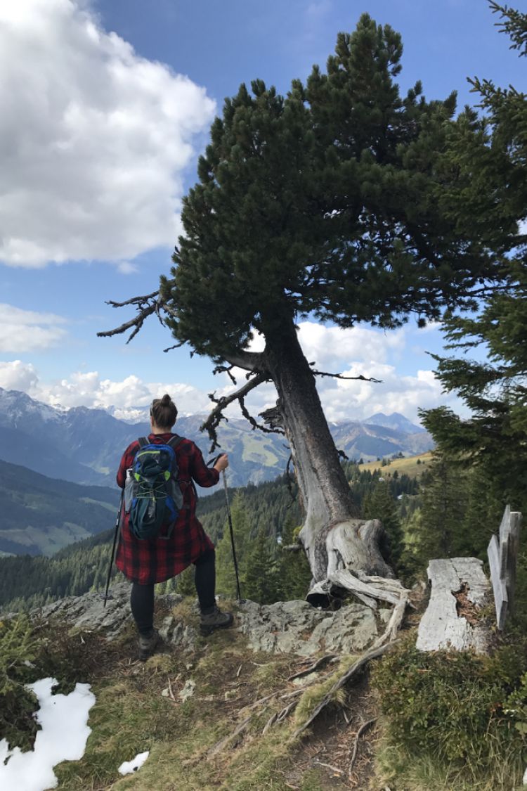 SGlrZSBBbG1lbndlZzc=