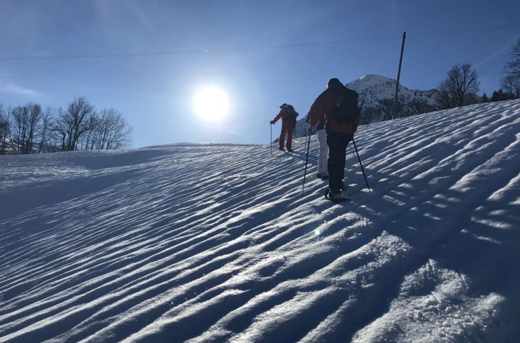 U25lZXV3d2FuZGVsZW4gTGVzIE1lbnVpcmVz