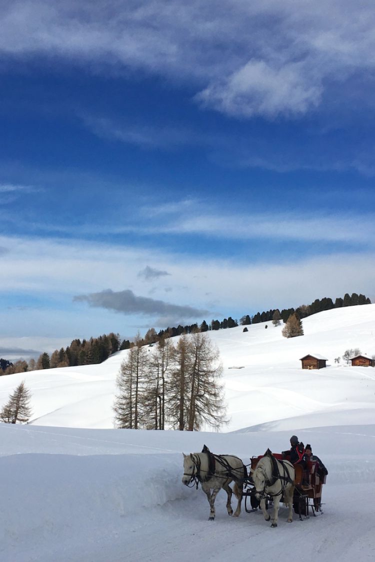 UGFhcmRlbnNsZWV0b2NodA==