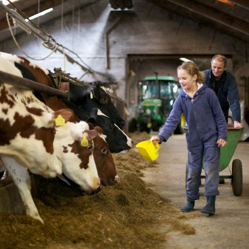 Je bent van harte welkom om boer Frans en boerin Truus te helpen op de boerderij.
