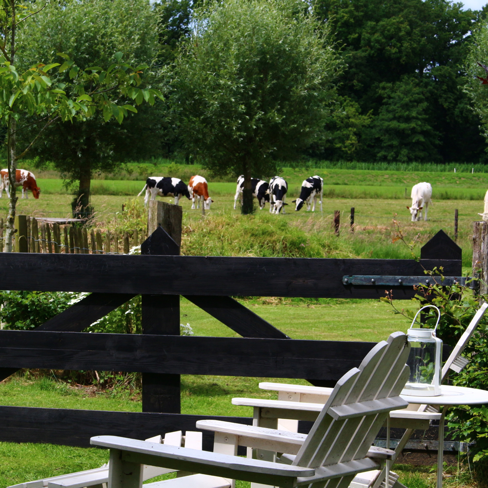Lekker lui in de tuin, met fantastisch uitzicht.
