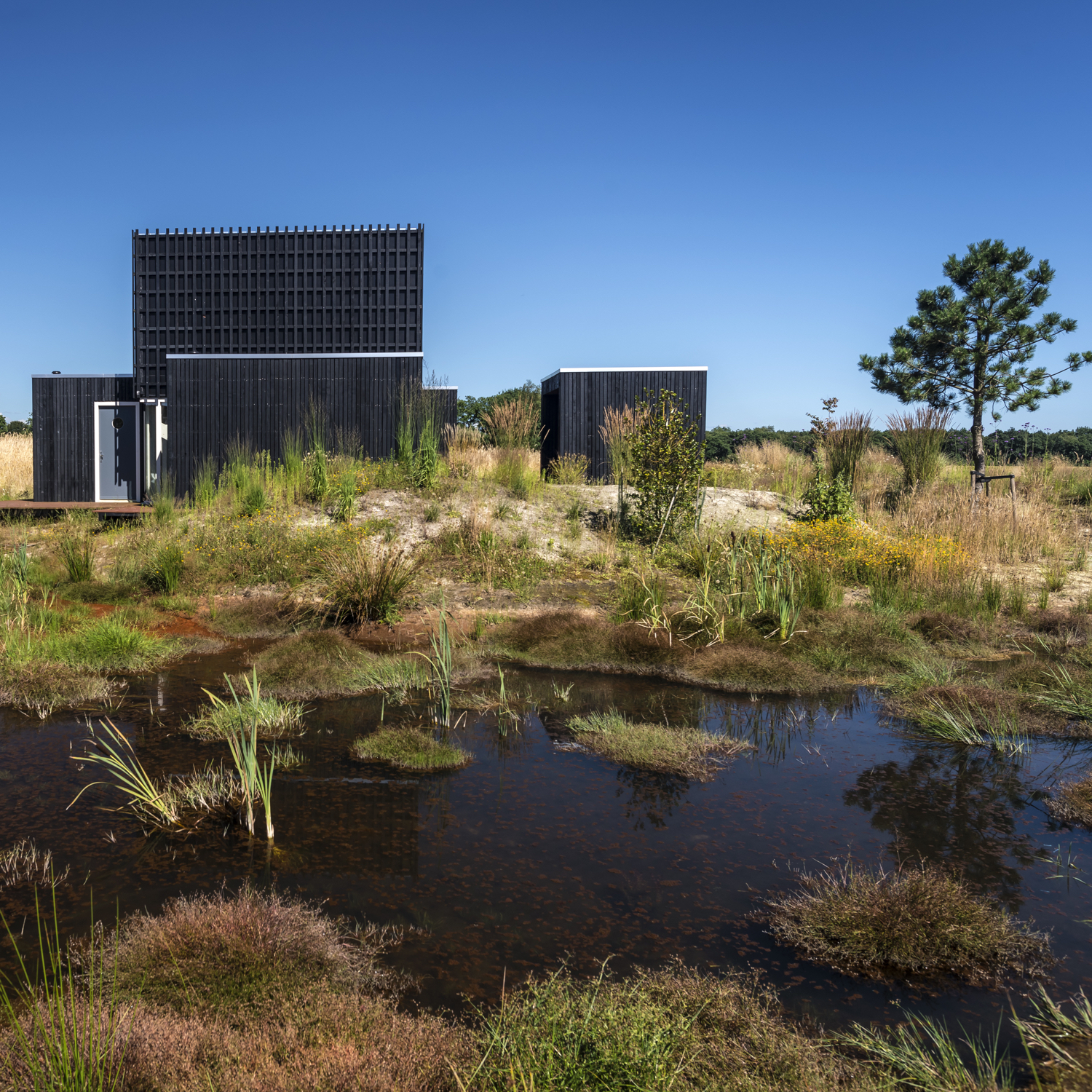 Huisje in de natuur in Drenthe