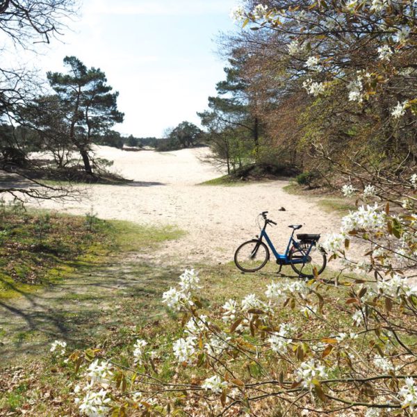 Zandverstuiving met fiets bij Soest