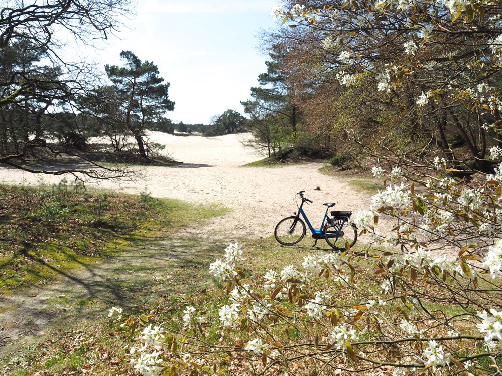 Zandverstuiving met fiets bij Soest