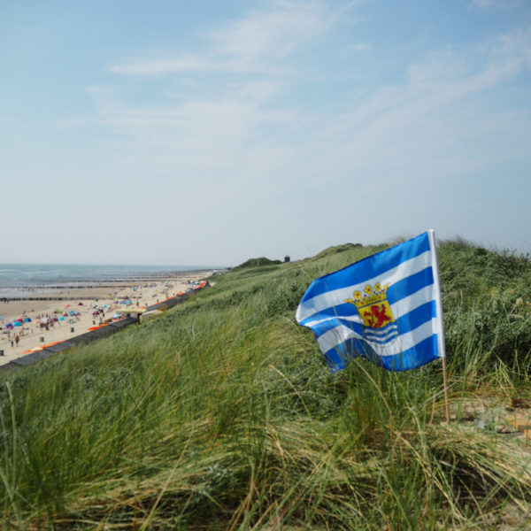 Vlag in de duinen bij het strand