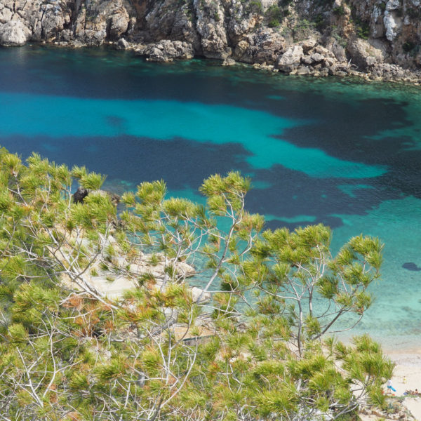 Helderblauwe zee in Ibiza met takken op de voorgrond