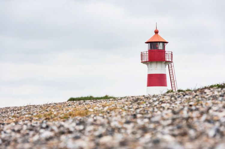 MjAxOCBCaWp6b25kZXIgUGxla2plICBEZW5lbWFya2Vu