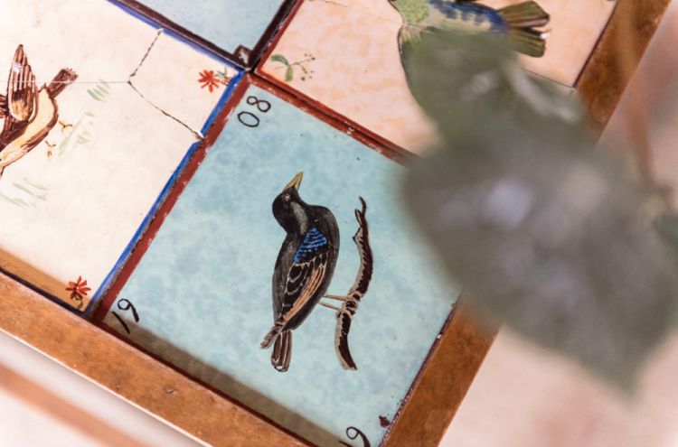 MjAxOCBCaWp6b25kZXIgUGxla2plICBEZW5lbWFya2Vu