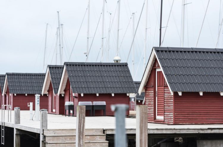 MjAxOCBCaWp6b25kZXIgUGxla2plICBEZW5lbWFya2Vu