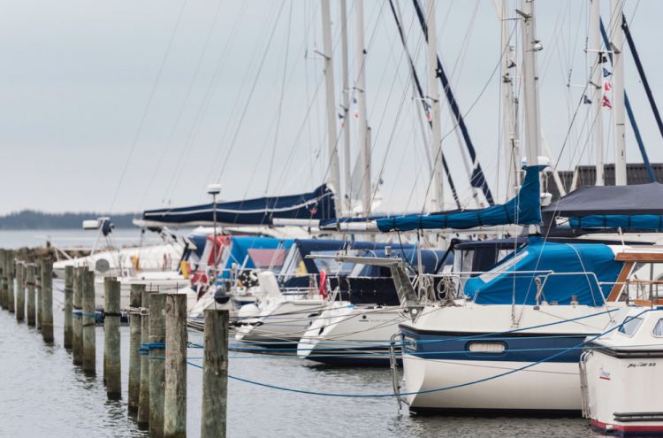 MjAxOCBCaWp6b25kZXIgUGxla2plICBEZW5lbWFya2Vu