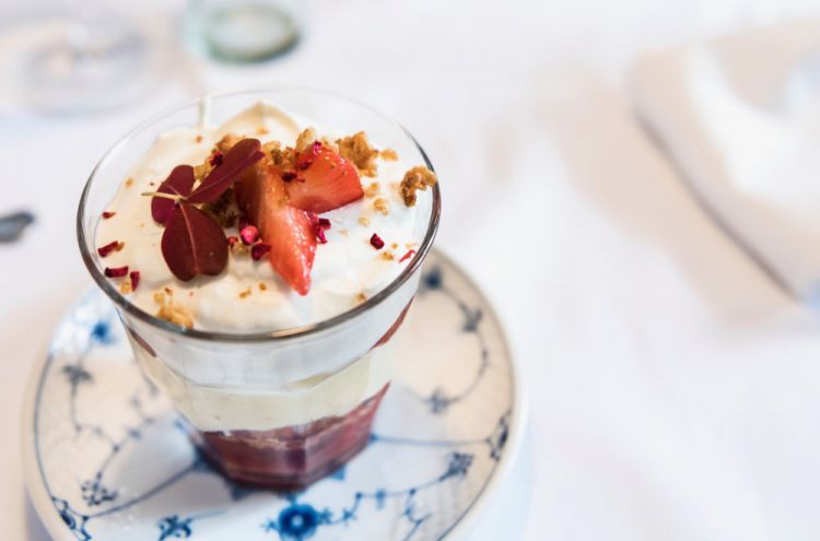 MjAxOCBCaWp6b25kZXIgUGxla2plICBEZW5lbWFya2Vu