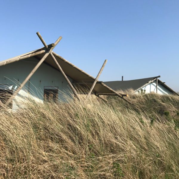 Tenten in de duinen niet ver van zee
