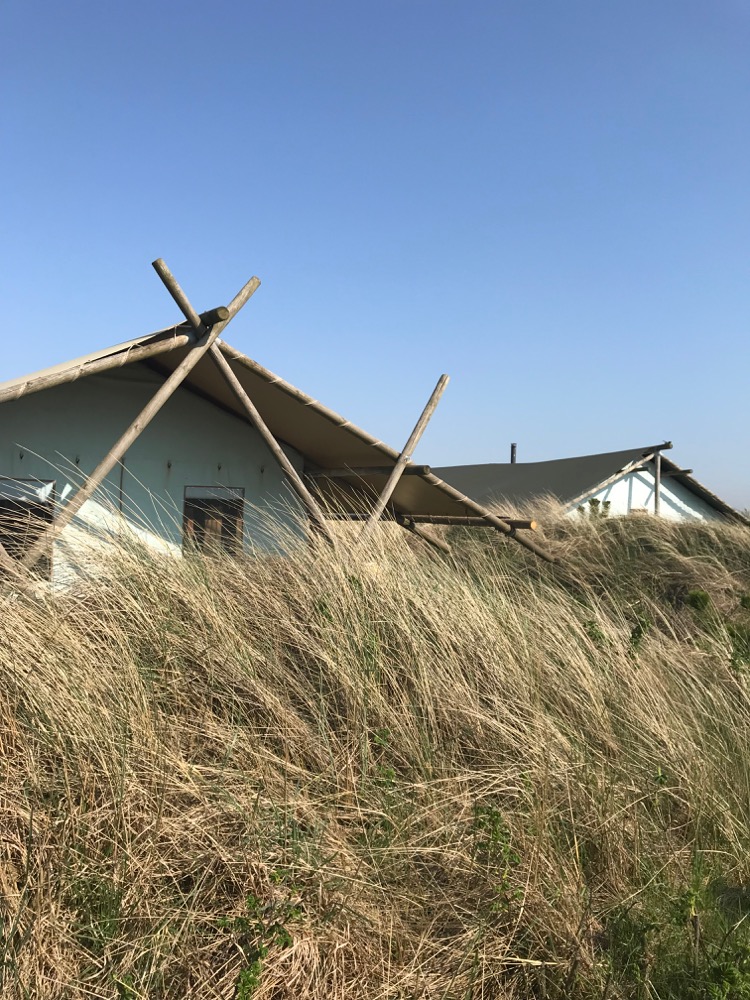 Tenten in de duinen niet ver van zee