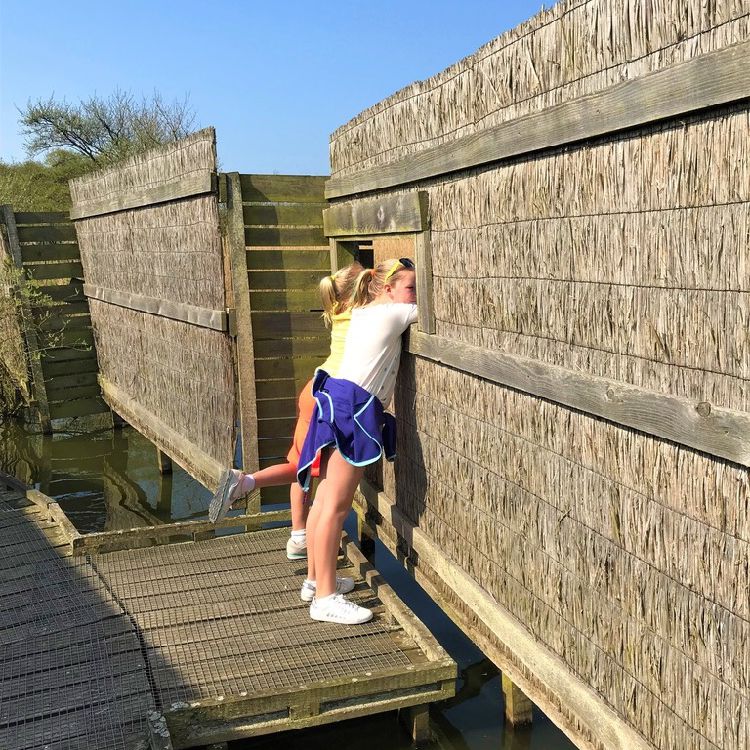 WndhbmVud2F0ZXIgdm9nZWxzIGtpamtlbg==