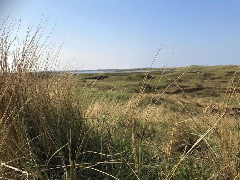 Natuurgebied Noord-Holland