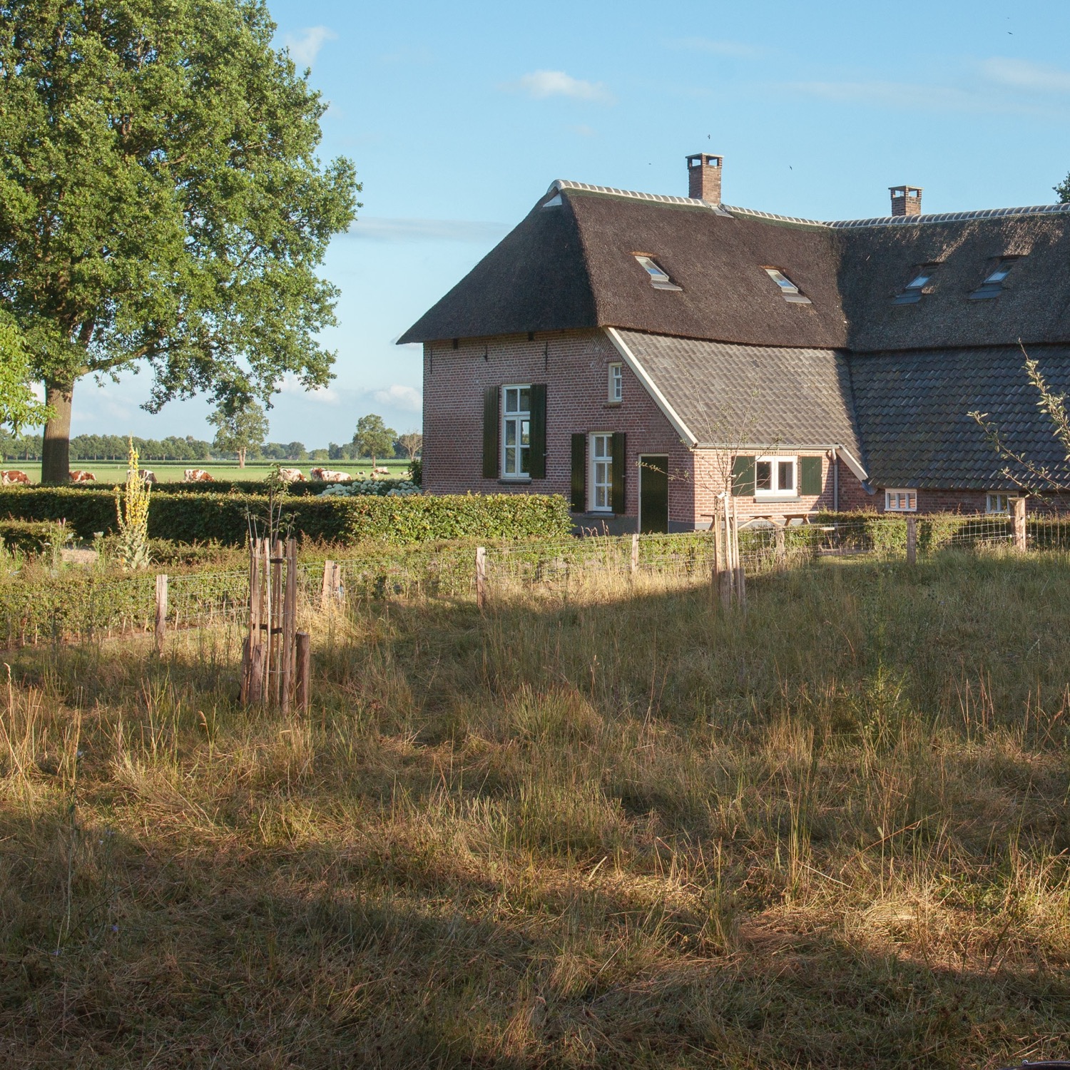 Tijd om even echt te ontspannen bij vakantiehuis Groot Okhorst