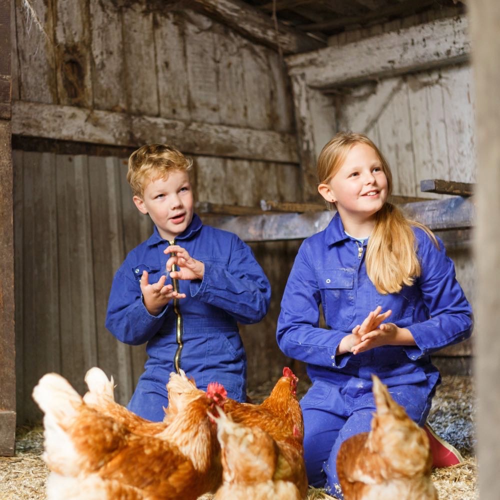 Kippen knuffelen op de boerderij in Twente