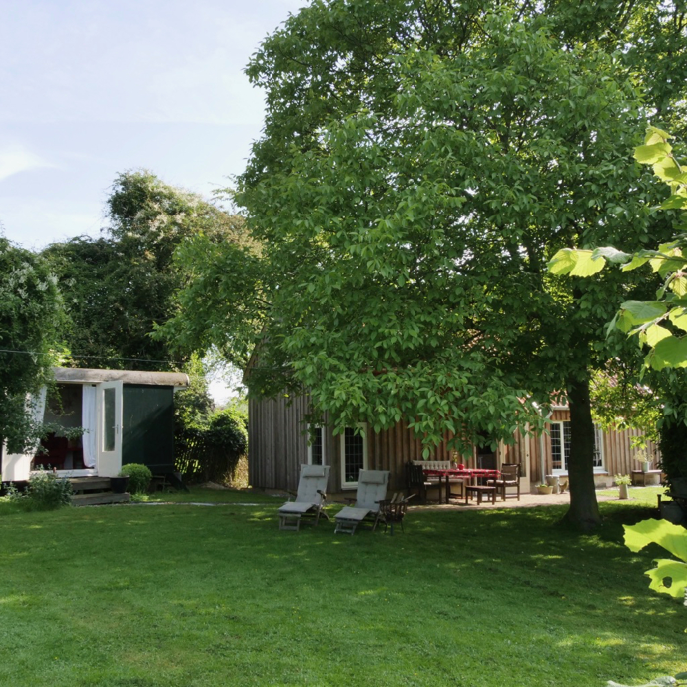 Ligstoelen voor een vakantiehuis in een groene omgeving