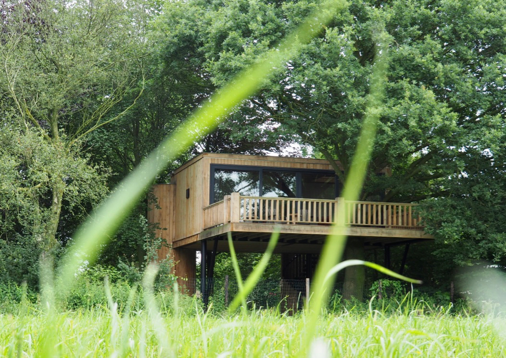 Luxe boomhut in een weiland, een bijzonder plekje voor een leuk weekendje weg in Nederland