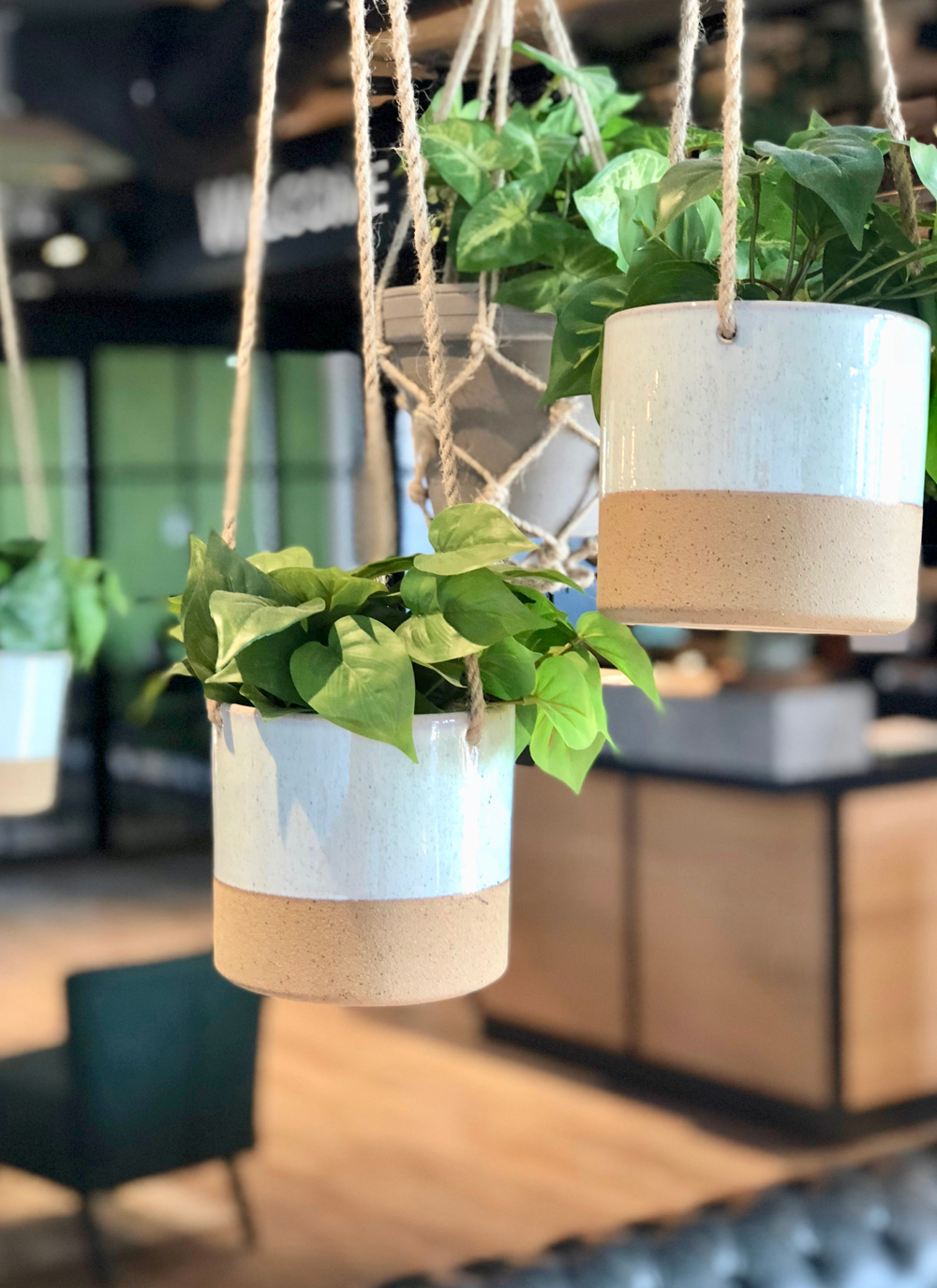 Hangplanten met op de achtergrond de receptie